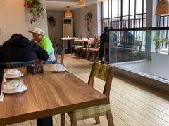 -土桥手掌鸡·26年灌县老味道(都江堰店)