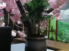 -学习谷日语培训日本留学·多语种外语教学(海淀人大分部)