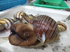 -外伶仃岛海鲜市场