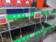 -阳澄湖大闸蟹·琼灵阁牌品牌连锁(吴中总店)