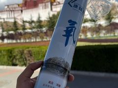 -布达拉宫