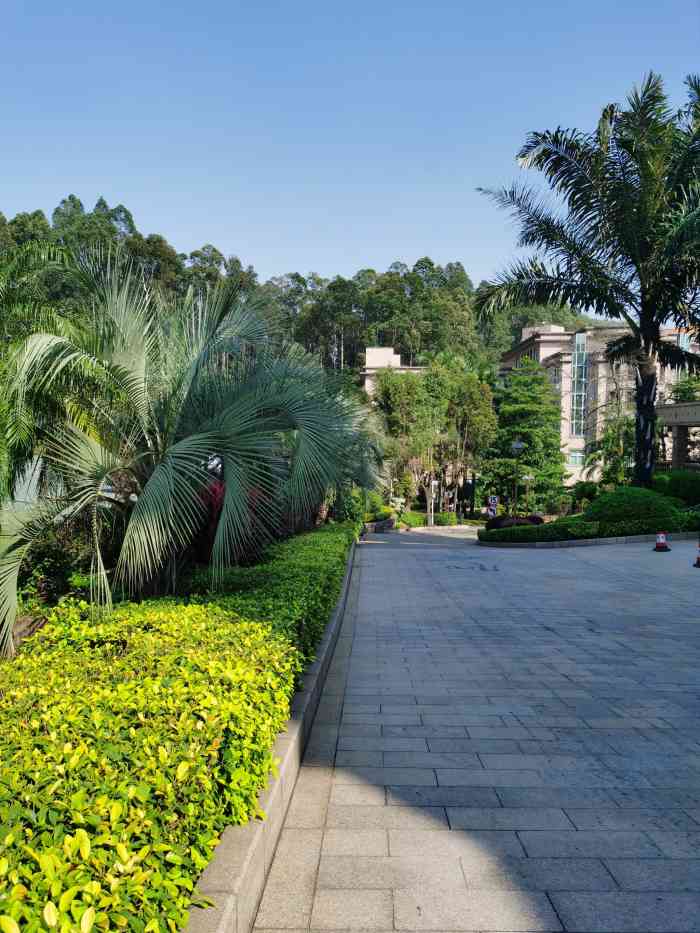 佛山枫丹白鹭酒店(影视城店)-"朋友介绍过来的,离广州是很近,大概一个