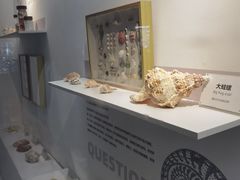 -重庆欢乐海底世界