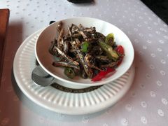 -欣叶食艺轩