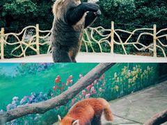 -常州淹城野生动物世界