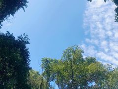 -南丹山森林王国