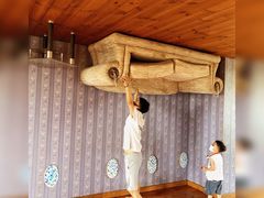 -金山农民画村-枫泾波兰倒置屋