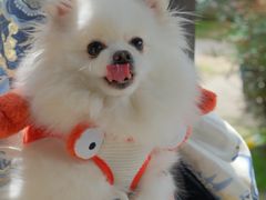 -味莊餐厅(康庄南街店)