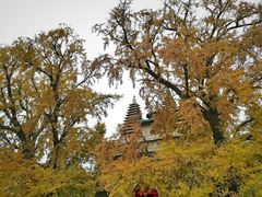 -北京石刻艺术博物馆(五塔寺)