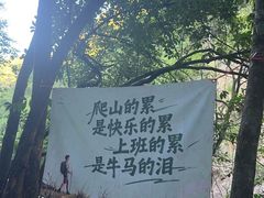 -广州白江湖森林公园