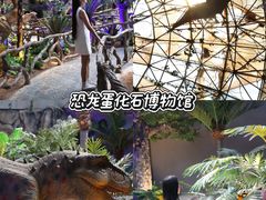 -中国西峡恐龙遗迹园