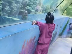 -嘉兴海底世界
