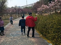 -燕郊植物园
