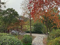 -云龙山