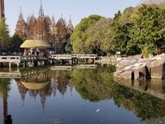 -江湾体育中心游泳馆