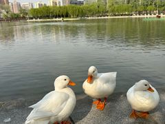 -中国农业博物馆