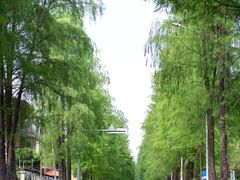 -南沙天后宫景区