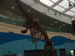 -陕西自然博物馆