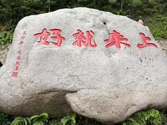 -普陀山风景区-佛顶山
