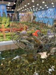 -钓虾工场·钓虾·赶海(回龙观店)