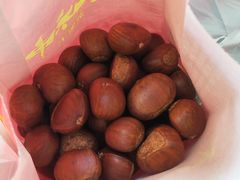 金粟王-金栗王(清扬路店)