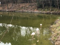 -杭州野生动物世界