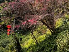 -广州市白云山风景名胜区