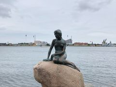 -美人鱼