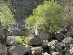 -龙潭大峡谷自然风景区