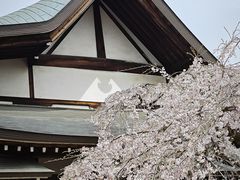-奈良公园