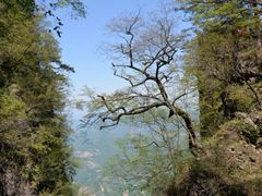 -塔云山