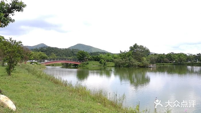 鶴山馬耳山風景區-圖片-鶴山市景點/周邊遊-大眾點評網