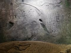 -白鹤梁水下博物馆