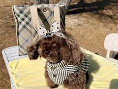 -小意思咖啡店(草桥店)