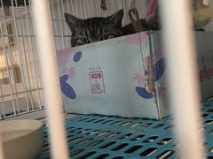 -小时光咖啡馆(北锣鼓巷店)
