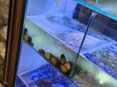 -皮蛋弟砂锅店(总店)