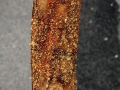-玛马艾脆皮水磨年糕(湖北路87-89小区店)