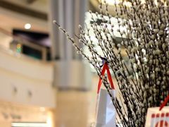 iphone_upload_pic-台北101