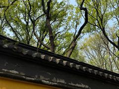 -虞山风景区