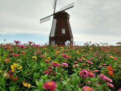 -北纬44度·金珠花海休闲农业旅游景区