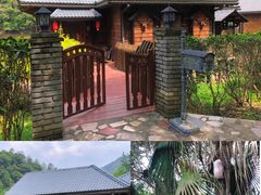 -天台国家森林公园水上茶乡九鹏溪