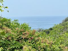 -三亚蜈支洲岛旅游区