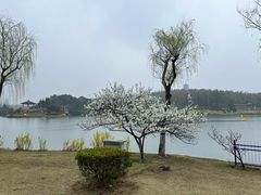 -宜兴龙背山森林公园