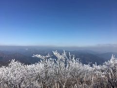 -东天目山风景区