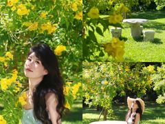 -深圳国际园林花卉博览园