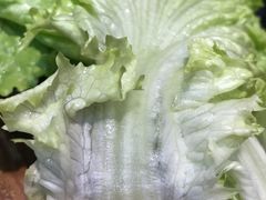 生菜-猪小牛烤肉(青塔店)