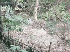 -上海老站(徐家汇店)