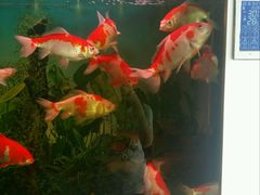 -大桶大足浴(南翔店)