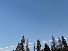 -良渚古城遗址公园