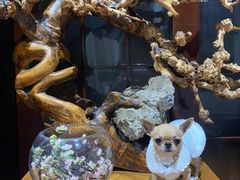 -品味居·首店·大连鲜活海鲜大连菜(东港店)